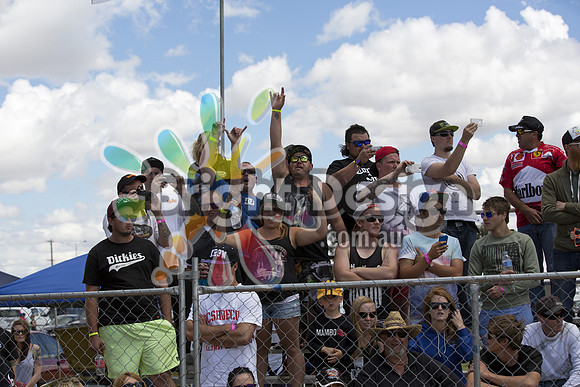 Autofest Shepparton Springnats 21  SUN 24-11-13  (6552)  CROWD