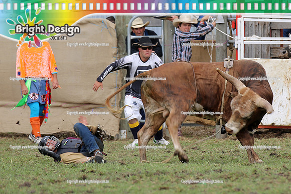 Lang Lang Rodeo - 1 April 2013  Bright Design Photogrpahy(137)