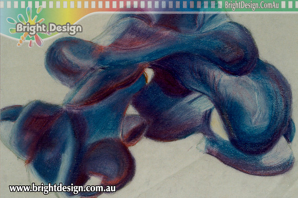 Fine Art Traditonal pencil Illustration by Michelle Porobic from Bright Design (3)