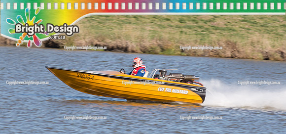 VDBC April Club Day  27 April 2014  (4422)   CUT THE MUSTARD