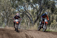 Dirt Bikes @ Frankston City Motorcycle Track SUN 11 December 2016 (1371)