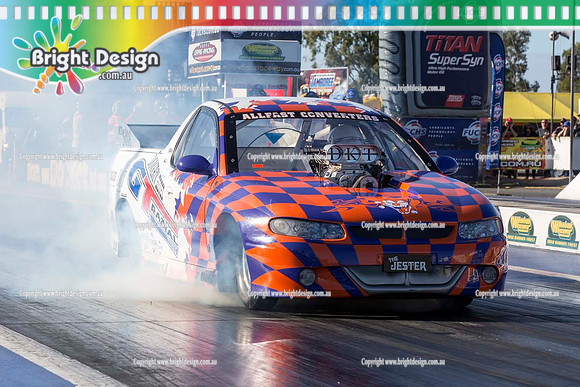 BDMP6328jester