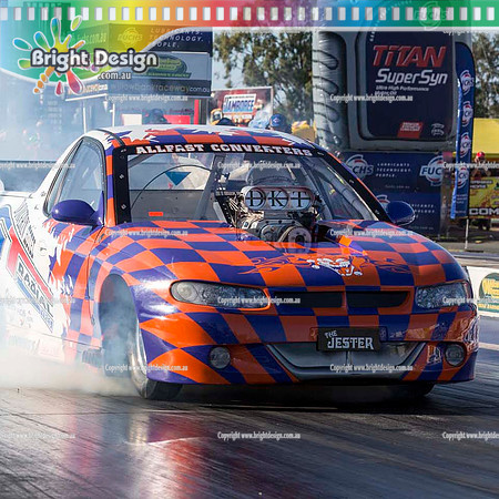 BDMP6328jester  square