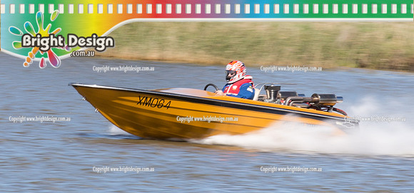 VDBC April Club Day  27 April 2014  (4116)  CUT THE MUSTARD