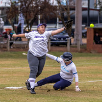 AAAA SSSS Victorian Softball Masters Shepparton June 2026 (6604)-2 NORTHWOOD FALCONS vs BRUISERS WOMEN