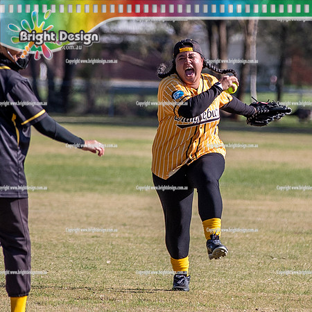 AAAAA SSSS Victorian Softball Masters Shepparton June 2026 (7057)-3 CRAIGIEBURN EAGLES YELLOW SOX WOMEN