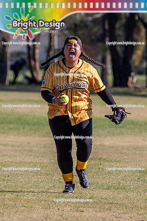 Victorian Softball Masters Shepparton June 2026 (7054) CRAIGIEBURN EAGLES YELLOW SOX WOMEN AAAAA