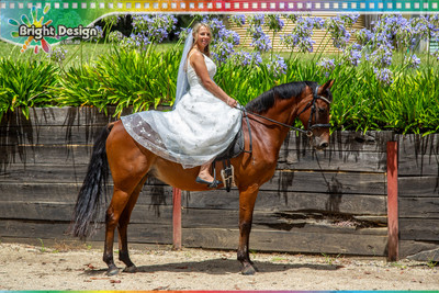 IDO Mr & Mrs Laurien - Trav & Mel Wedding 27 Jan 2024 (2533)-2