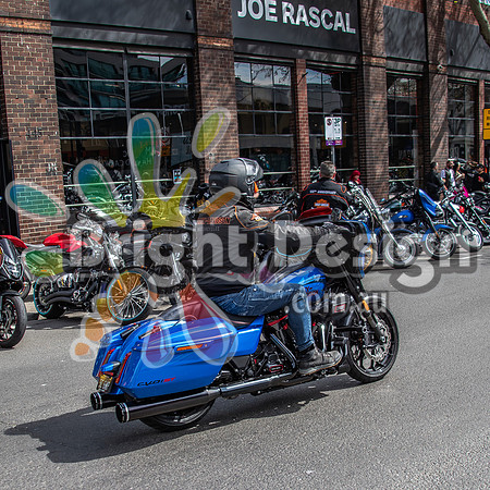 Joe Rascal Harley Davidson Melbourne UNITED WE RIDE 12 Septemeber 2026 (1536)