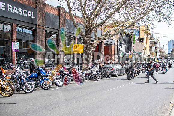 Joe Rascal Harley Davidson Melbourne UNITED WE RIDE 12 Septemeber 2026 (1360)