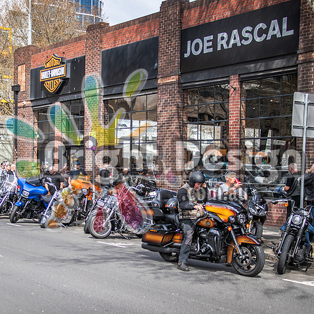Joe Rascal Harley Davidson Melbourne UNITED WE RIDE 12 Septemeber 2026 (1513)