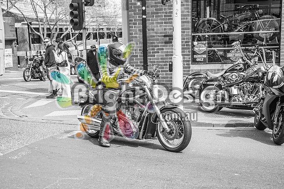 Joe Rascal Harley Davidson Melbourne UNITED WE RIDE 12 Septemeber 2026 (1350)