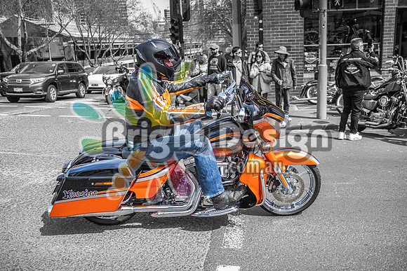 Joe Rascal Harley Davidson Melbourne UNITED WE RIDE 12 Septemeber 2026 (1523)
