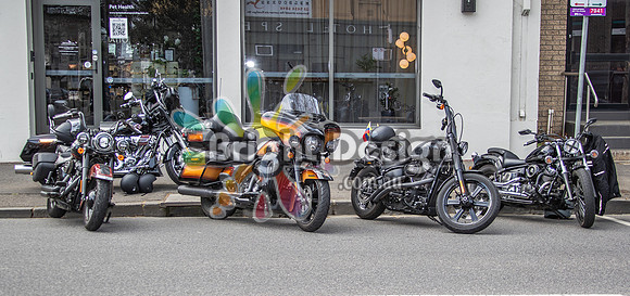 Joe Rascal Harley Davidson Melbourne UNITED WE RIDE 12 Septemeber 2026 (1626)-2