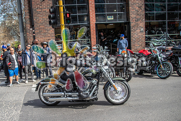 Joe Rascal Harley Davidson Melbourne UNITED WE RIDE 12 Septemeber 2026 (1537)