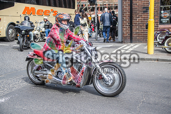 Joe Rascal Harley Davidson Melbourne UNITED WE RIDE 12 Septemeber 2026 (1336)