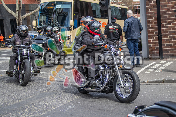 Joe Rascal Harley Davidson Melbourne UNITED WE RIDE 12 Septemeber 2026 (1320)