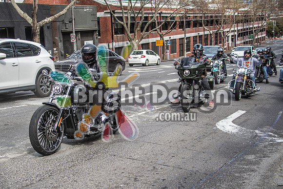 Joe Rascal Harley Davidson Melbourne UNITED WE RIDE 12 Septemeber 2026 (1141)