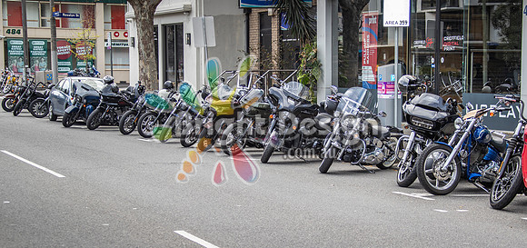 Joe Rascal Harley Davidson Melbourne UNITED WE RIDE 12 Septemeber 2026 (1619)-2