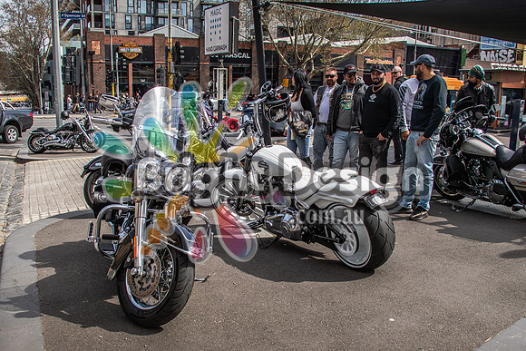 Joe Rascal Harley Davidson Melbourne UNITED WE RIDE 12 Septemeber 2026 (1696)