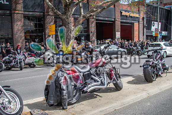 Joe Rascal Harley Davidson Melbourne UNITED WE RIDE 12 Septemeber 2026 (1545)