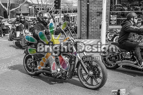 Joe Rascal Harley Davidson Melbourne UNITED WE RIDE 12 Septemeber 2026 (1375)-2