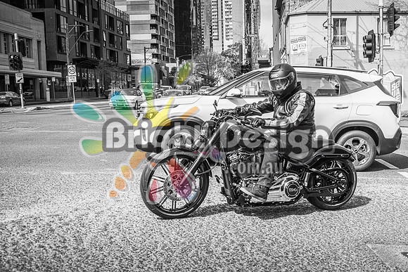 Joe Rascal Harley Davidson Melbourne UNITED WE RIDE 12 Septemeber 2026 (1471)-2