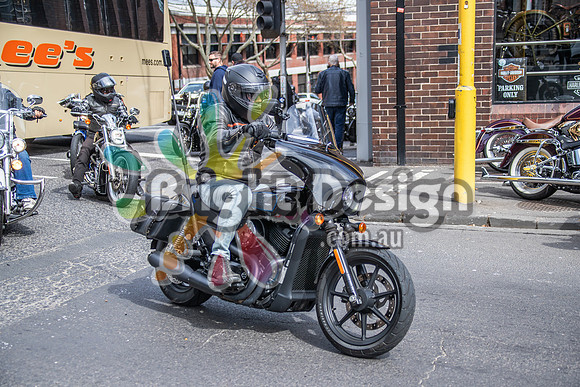 Joe Rascal Harley Davidson Melbourne UNITED WE RIDE 12 Septemeber 2026 (1343)