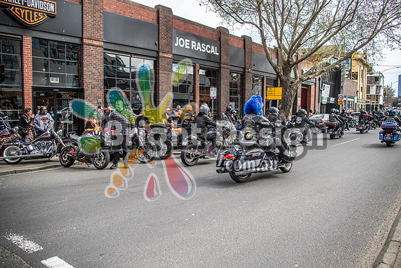 Joe Rascal Harley Davidson Melbourne UNITED WE RIDE 12 Septemeber 2026 (1285)