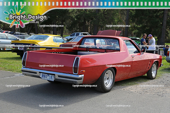 All Holden Day @  Dandeonong 7 April 2013  Bright Design (1043)  WNO387