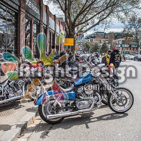 Joe Rascal Harley Davidson Melbourne UNITED WE RIDE 12 Septemeber 2026 (1445)