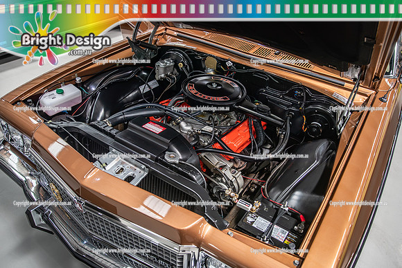 Show Cars Melbourne Best Car & Bike Expo @ Shannons 18 Oct 2026 (2249)