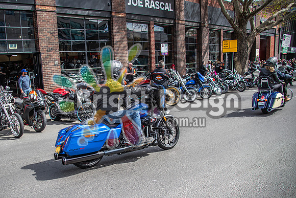 Joe Rascal Harley Davidson Melbourne UNITED WE RIDE 12 Septemeber 2026 (1535)
