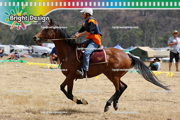 Cattleman's Cup Licola - Jan 2013 (1165)