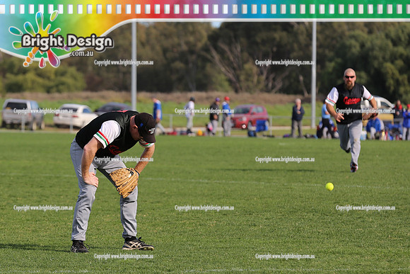 Softball Masters - Bendigo June 2013  (1013)