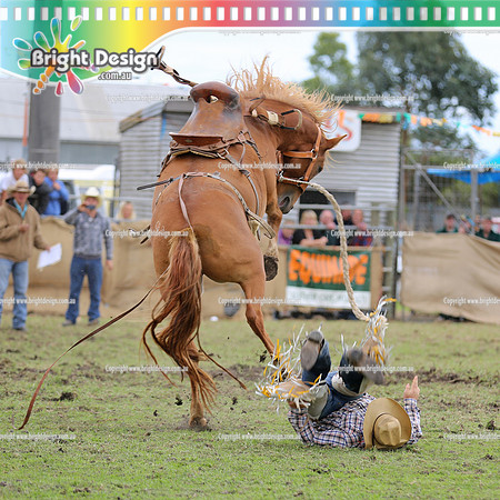 Lang Lang Rodeo - 1 April 2013  Bright Design Photogrpahy(2402) square