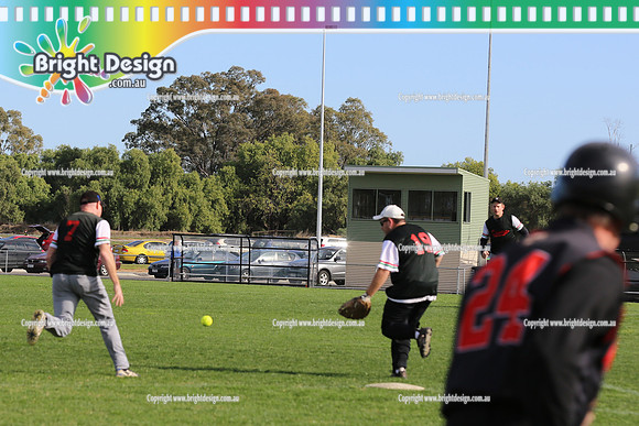 Softball Masters - Bendigo June 2013  (1019)