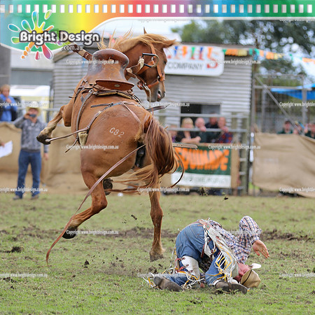 Lang Lang Rodeo - 1 April 2013  Bright Design Photogrpahy(2403) square