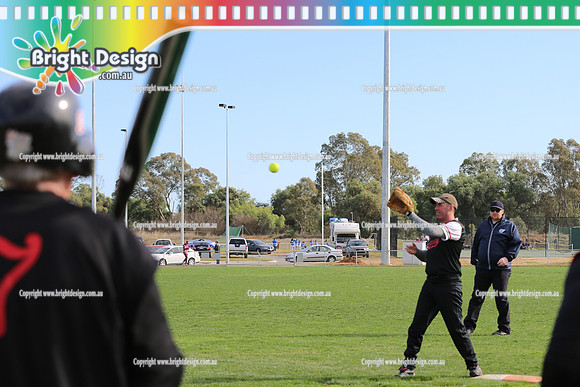 Softball Masters - Bendigo June 2013  (1034)