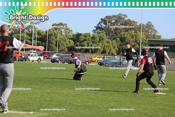 Softball Masters - Bendigo June 2013  (1022)