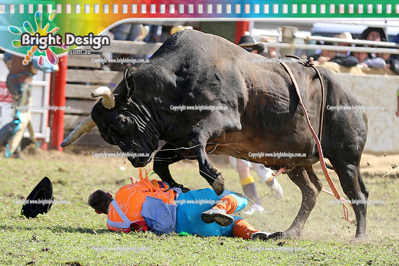 Lang Lang Rodeo - 1 April 2013  Bright Design Photogrpahy(1621)