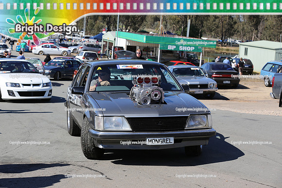 PCM 7 on SAT Sept 12 (1172)  MONGREL