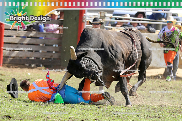 Lang Lang Rodeo - 1 April 2013  Bright Design Photogrpahy(1620)