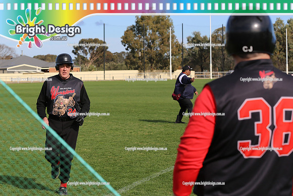 Softball Masters - Bendigo June 2013  (1027)