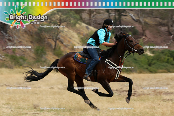 Cattleman's Cup Licola - Jan 2013 (1155)
