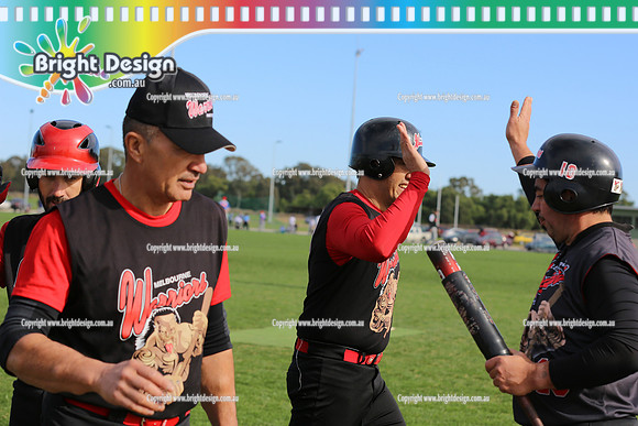 Softball Masters - Bendigo June 2013  (1030)