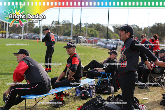 Softball Masters - Bendigo June 2013  (1007)
