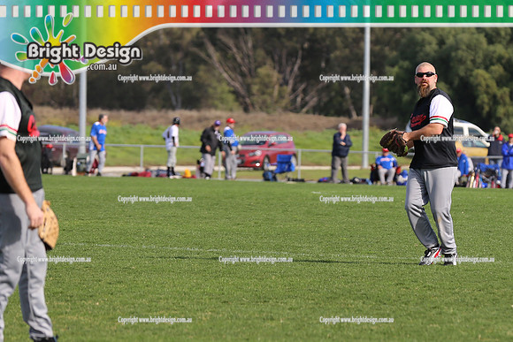 Softball Masters - Bendigo June 2013  (1016)