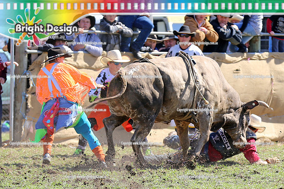 Lang Lang Rodeo - 1 April 2013  Bright Design Photogrpahy(1708)