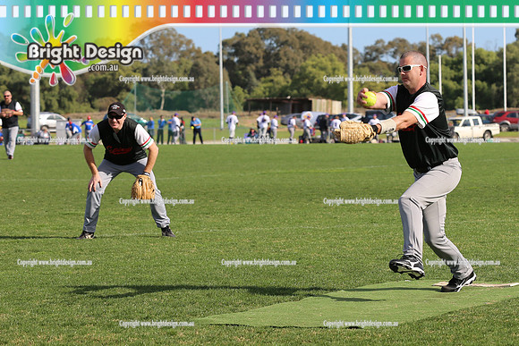 Softball Masters - Bendigo June 2013  (1002)